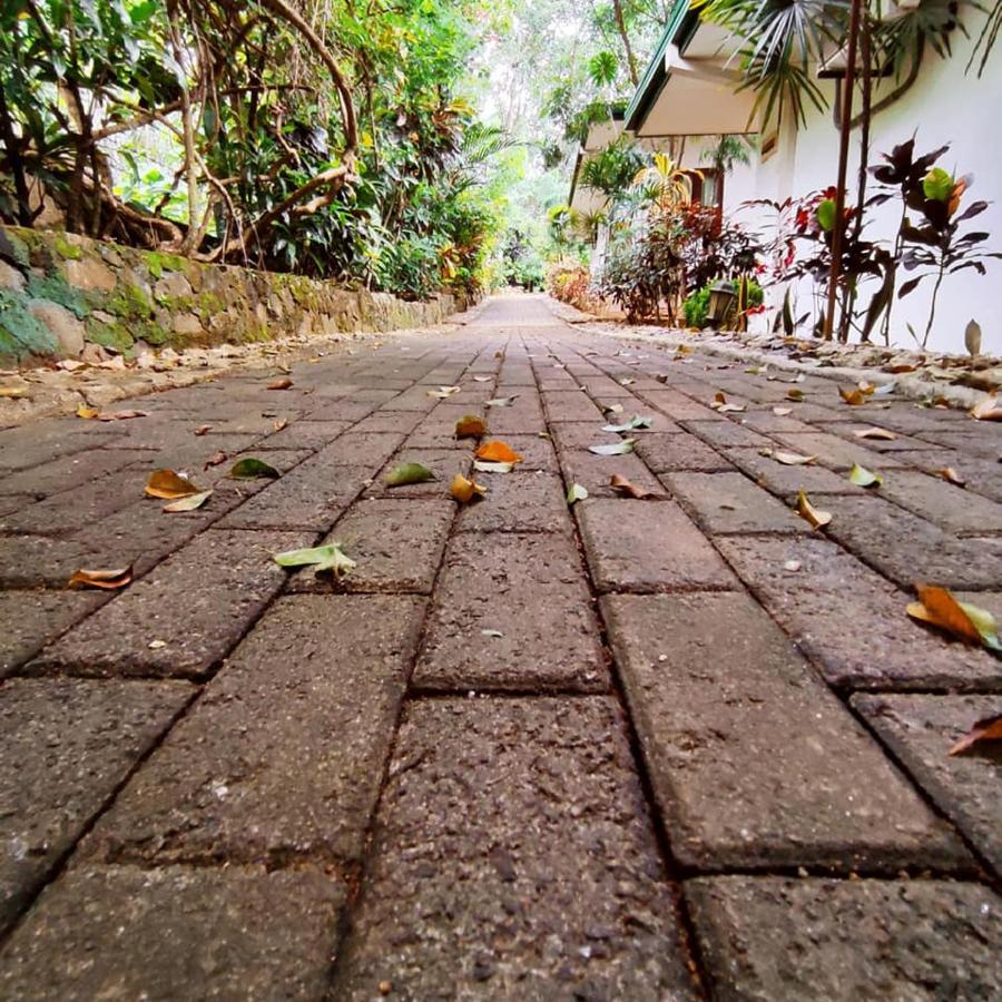 Seethawaka Regency Avissawella Bagian luar foto